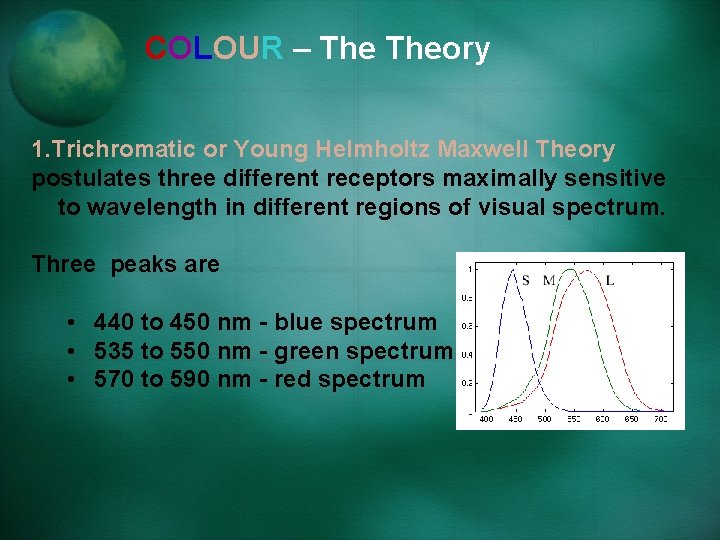 COLOUR – Theory 1. Trichromatic or Young Helmholtz Maxwell Theory postulates three different receptors