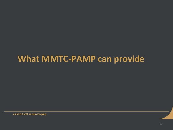 What MMTC-PAMP can provide An MKS PAMP Group Company 25 What MMTC-PAMP can provide An MKS PAMP Group Company 25