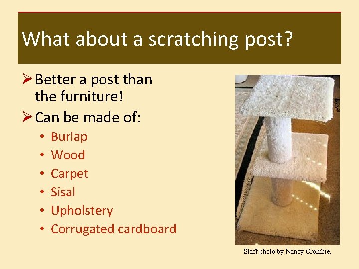 What about a scratching post? Ø Better a post than the furniture! Ø Can