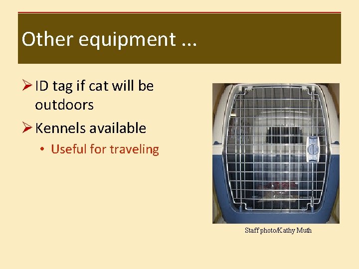 Other equipment. . . Ø ID tag if cat will be outdoors Ø Kennels