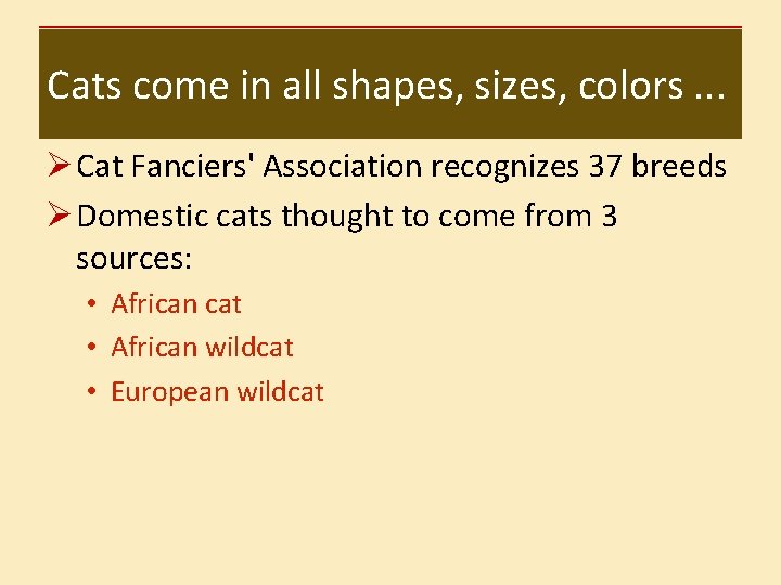 Cats come in all shapes, sizes, colors. . . Ø Cat Fanciers' Association recognizes