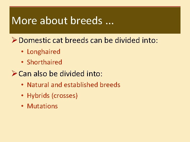 More about breeds. . . Ø Domestic cat breeds can be divided into: •