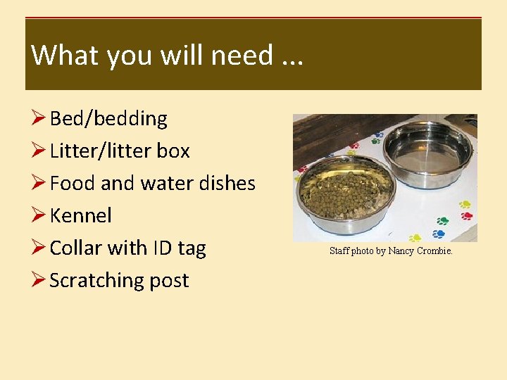 What you will need. . . Ø Bed/bedding Ø Litter/litter box Ø Food and