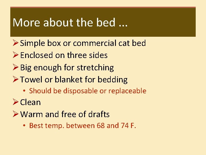More about the bed. . . Ø Simple box or commercial cat bed Ø
