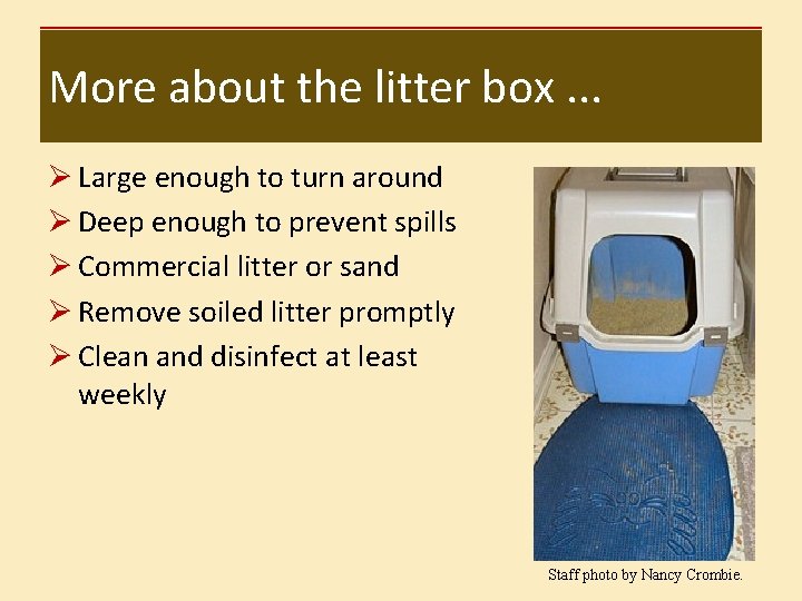 More about the litter box. . . Ø Large enough to turn around Ø