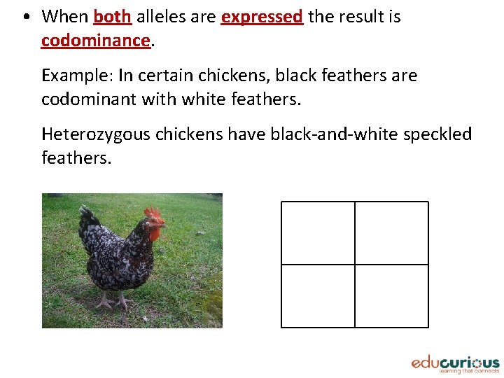  • When both alleles are expressed the result is codominance. Example: In certain