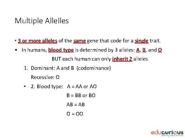 Multiple Allelles • 3 or more alleles of the same gene that code for