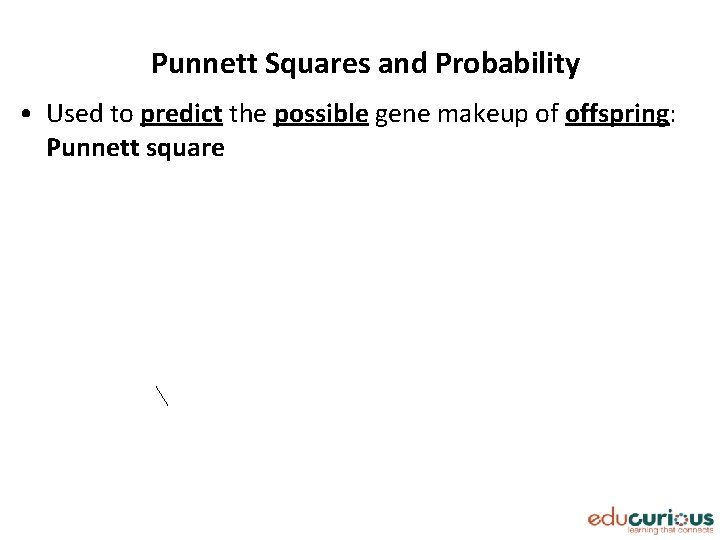 Punnett Squares and Probability • Used to predict the possible gene makeup of offspring: