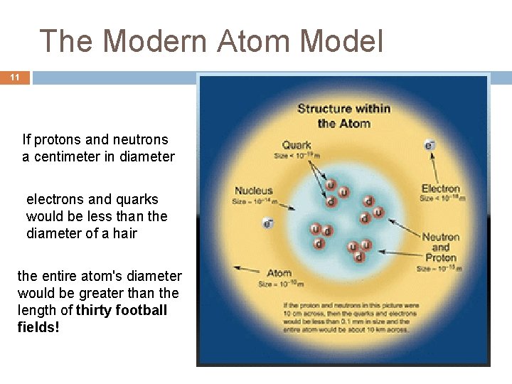 The Modern Atom Model 11 If protons and neutrons a centimeter in diameter electrons
