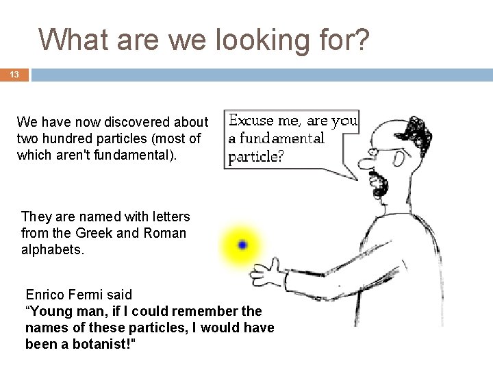 What are we looking for? 13 We have now discovered about two hundred particles