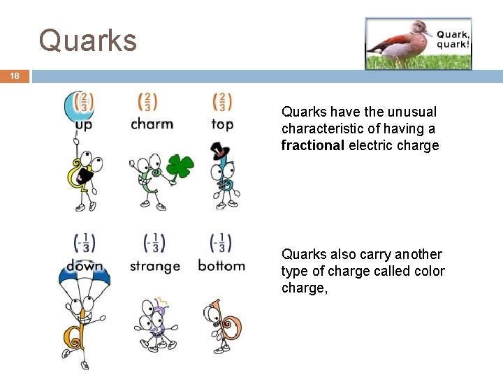 Quarks 18 Quarks have the unusual characteristic of having a fractional electric charge Quarks