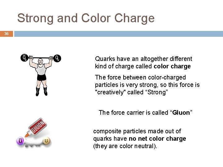 Strong and Color Charge 36 Quarks have an altogether different kind of charge called