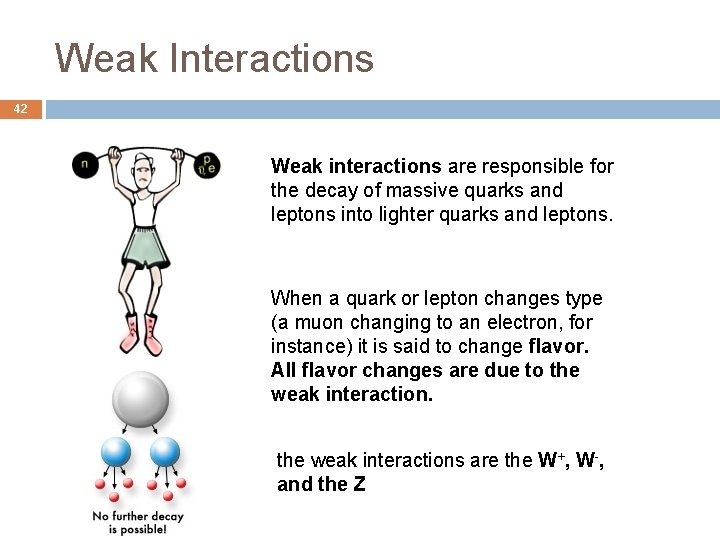 Weak Interactions 42 Weak interactions are responsible for the decay of massive quarks and