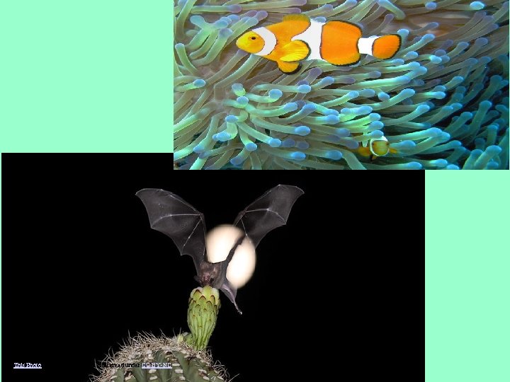 This Photo by Unknown Author is licensed under CC BY-NC 