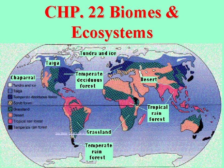 CHP. 22 Biomes & Ecosystems This Photo CC BY-SA-NC 