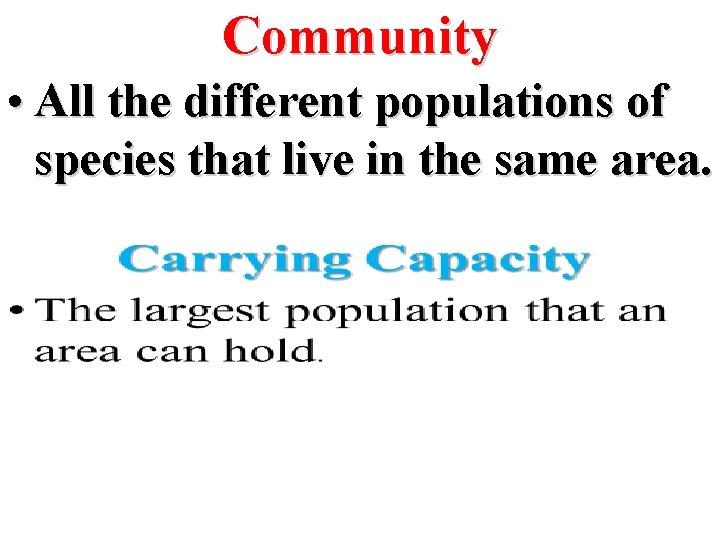 Community • All the different populations of species that live in the same area.