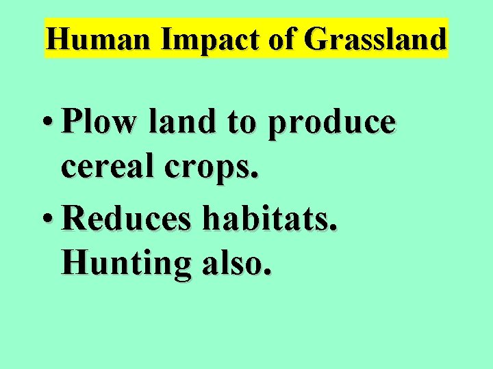 Human Impact of Grassland • Plow land to produce cereal crops. • Reduces habitats.
