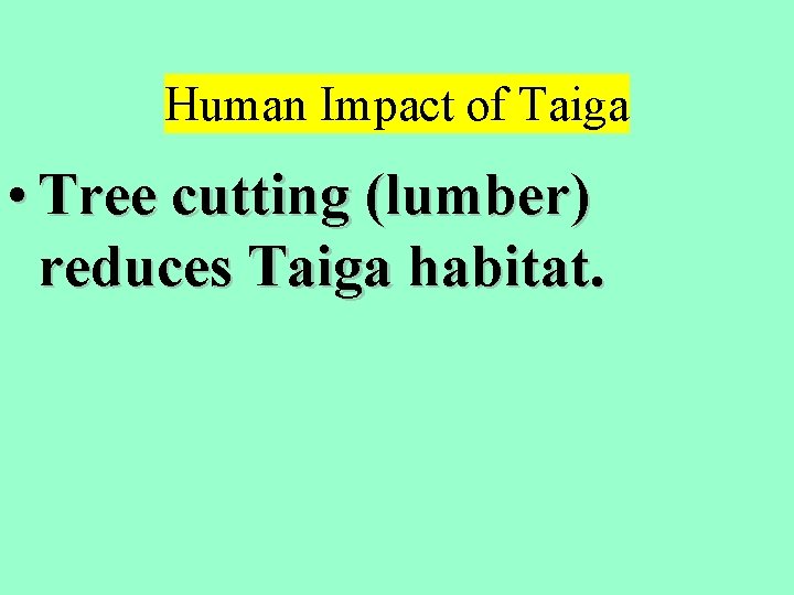 Human Impact of Taiga • Tree cutting (lumber) reduces Taiga habitat. 