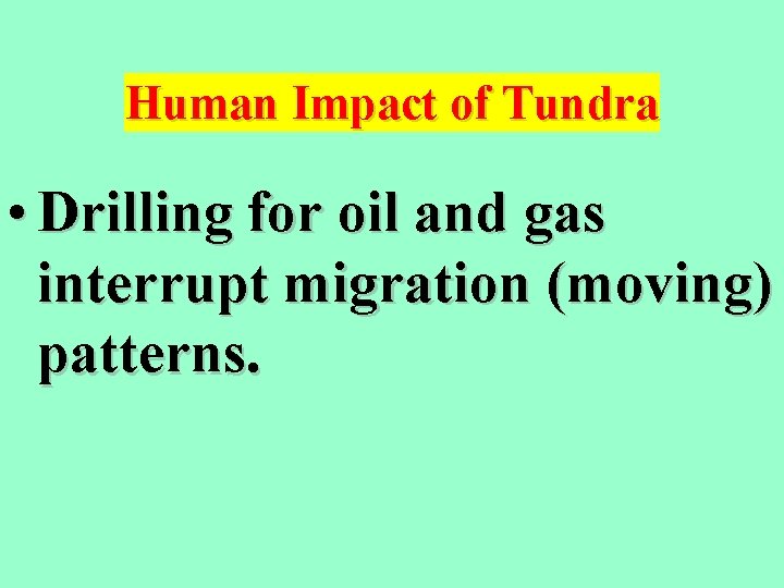 Human Impact of Tundra • Drilling for oil and gas interrupt migration (moving) patterns.
