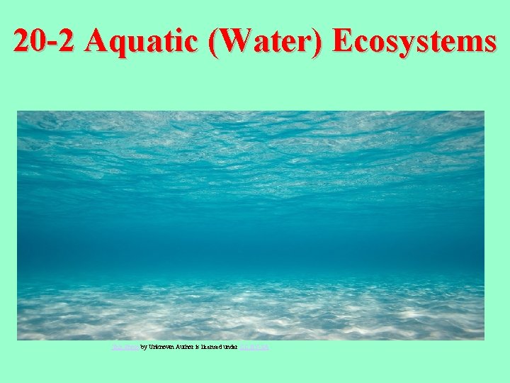 20 -2 Aquatic (Water) Ecosystems This Photo Y-SA This Photo by Unknown Author is
