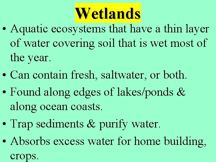 Wetlands • Aquatic ecosystems that have a thin layer of water covering soil that