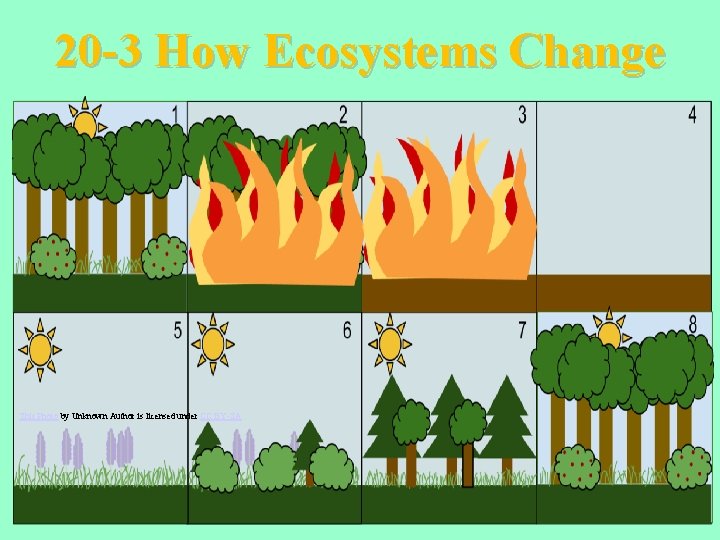 20 -3 How Ecosystems Change This Photo by Unknown Author is licensed under CC