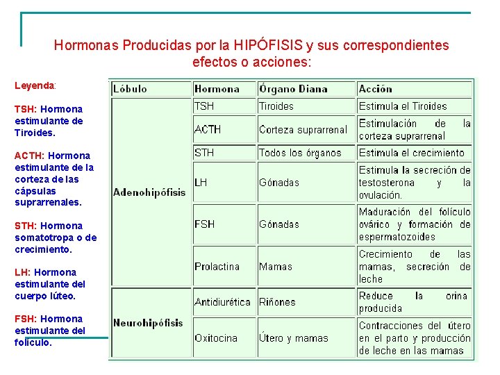 Hormonas Producidas por la HIPÓFISIS y sus correspondientes efectos o acciones: Leyenda: TSH: Hormona