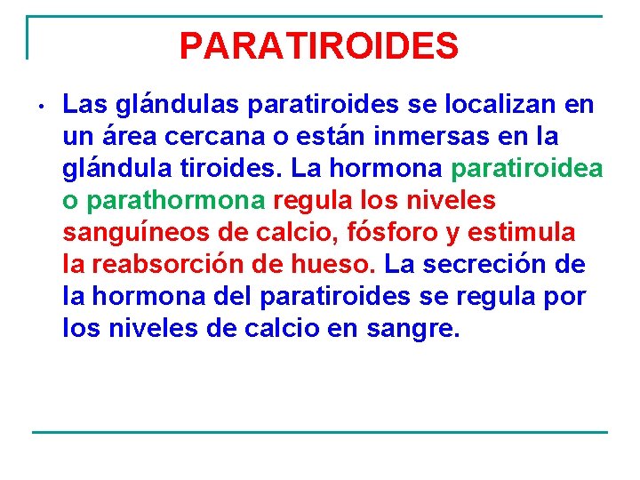 PARATIROIDES • Las glándulas paratiroides se localizan en un área cercana o están inmersas