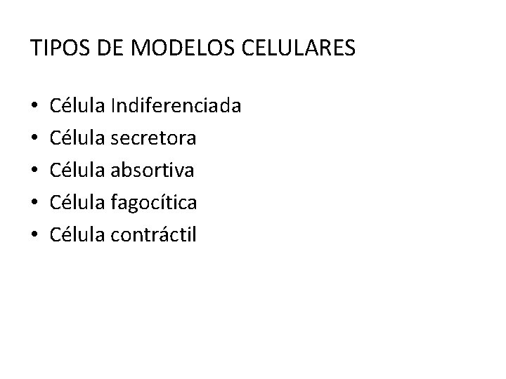 TIPOS DE MODELOS CELULARES • • • Célula Indiferenciada Célula secretora Célula absortiva Célula