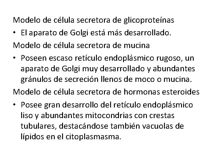 Modelo de célula secretora de glicoproteínas • El aparato de Golgi está más desarrollado.