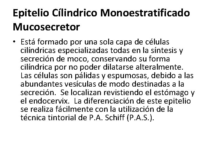Epitelio Cílindrico Monoestratificado Mucosecretor • Está formado por una sola capa de células cilíndricas