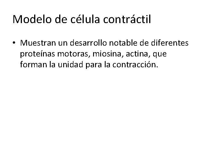 Modelo de célula contráctil • Muestran un desarrollo notable de diferentes proteínas motoras, miosina,