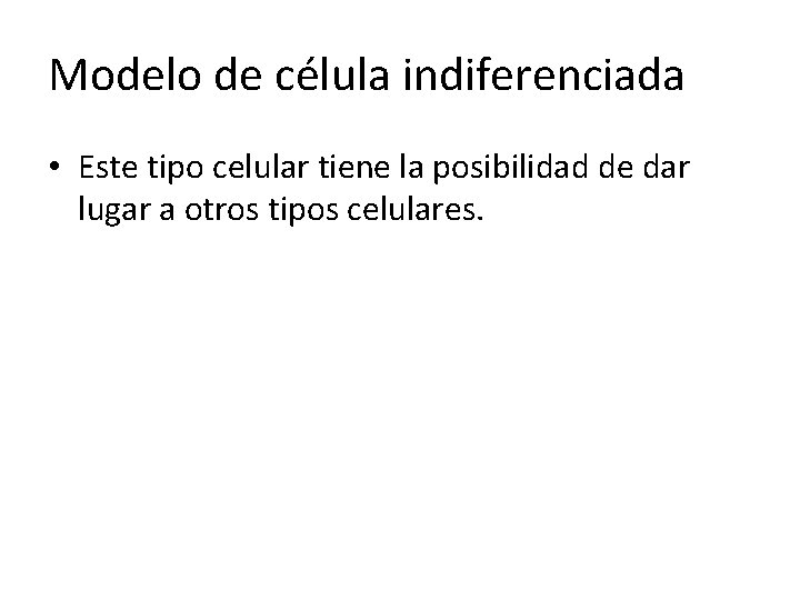 Modelo de célula indiferenciada • Este tipo celular tiene la posibilidad de dar lugar