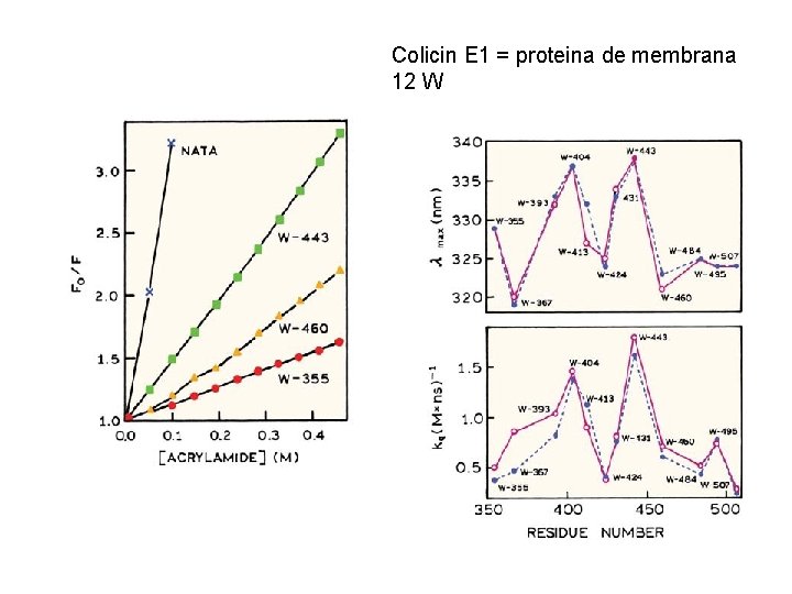 Colicin E 1 = proteina de membrana 12 W 