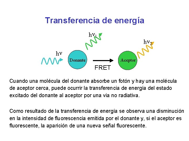 Transferencia de energía hn 1 hn 2 hn Donante Aceptor FRET Cuando una molécula