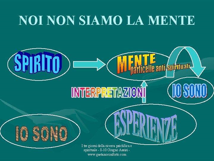 NOI NON SIAMO LA MENTE I tre giorni della ricerca psich 8 ica e