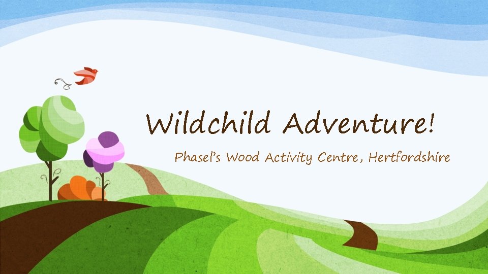 Wildchild Adventure! Phasel’s Wood Activity Centre, Hertfordshire 
