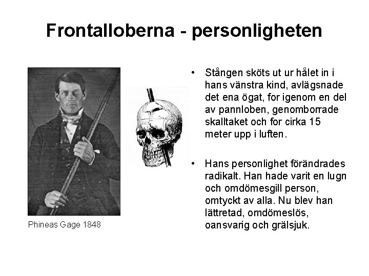 Frontalloberna - personligheten • Stången sköts ut ur hålet in i hans vänstra kind,