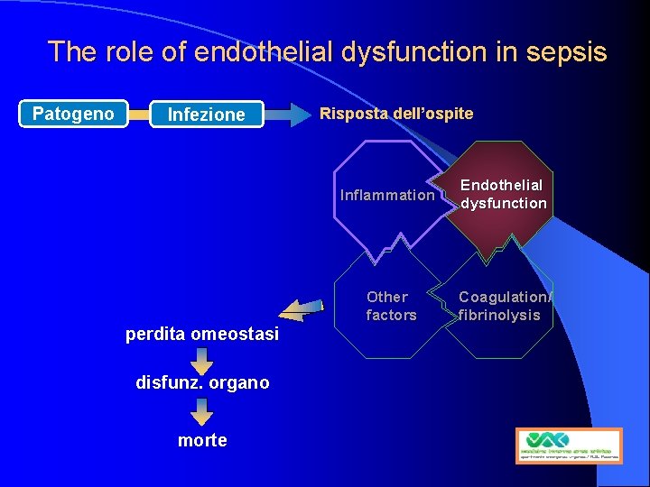 The role of endothelial dysfunction in sepsis Patogeno Infezione perdita omeostasi disfunz. organo morte
