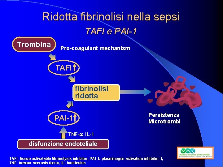Ridotta fibrinolisi nella sepsi TAFI e PAI-1 Trombina Pro-coagulant mechanism TAFI fibrinolisi ridotta PAI-1