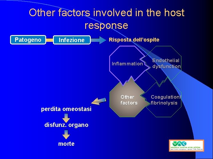 Other factors involved in the host response Patogeno Infezione Risposta dell’ospite Inflammation perdita omeostasi