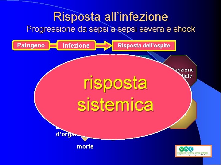 Risposta all’infezione Progressione da sepsi severa e shock Patogeno Infezione Risposta dell’ospite Infiammaz. risposta