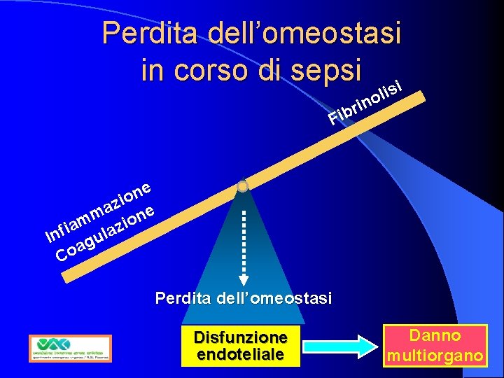 Perdita dell’omeostasi in corso di sepsi i s li o in r b i