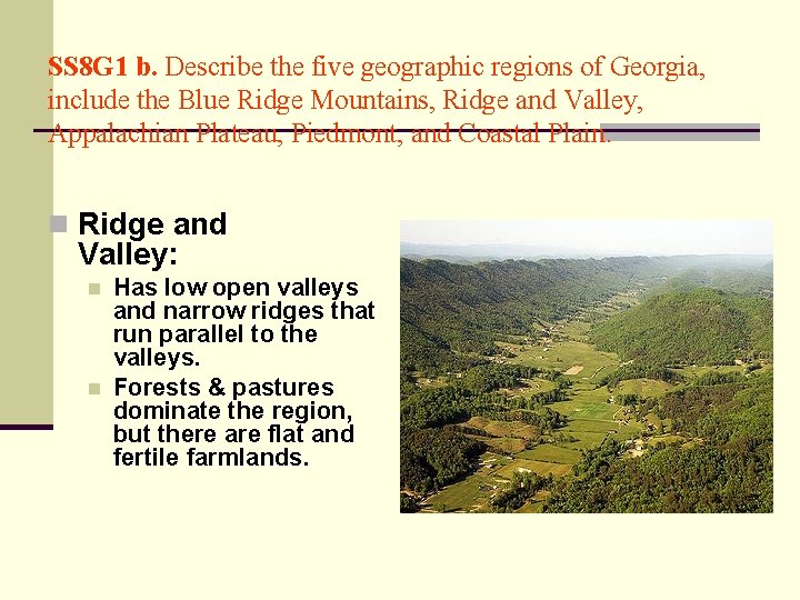 SS 8 G 1 b. Describe the five geographic regions of Georgia, include the