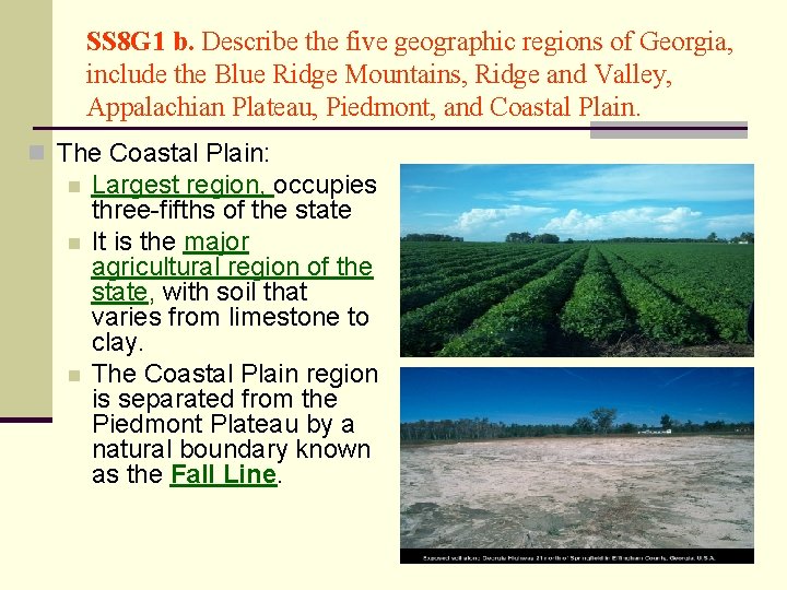 SS 8 G 1 b. Describe the five geographic regions of Georgia, include the