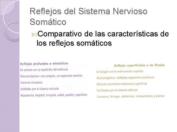 Reflejos del Sistema Nervioso Somático Comparativo de las características de los reflejos somáticos 