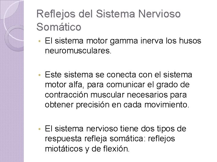 Reflejos del Sistema Nervioso Somático • El sistema motor gamma inerva los husos neuromusculares.