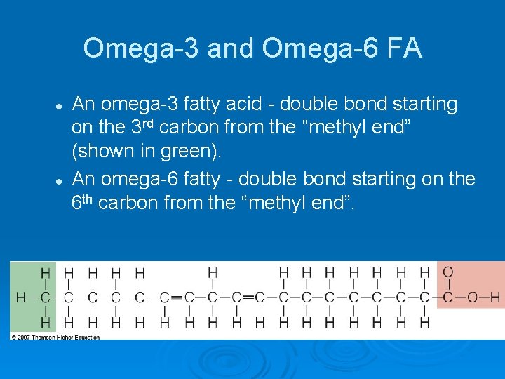 Omega-3 and Omega-6 FA l l An omega-3 fatty acid - double bond starting