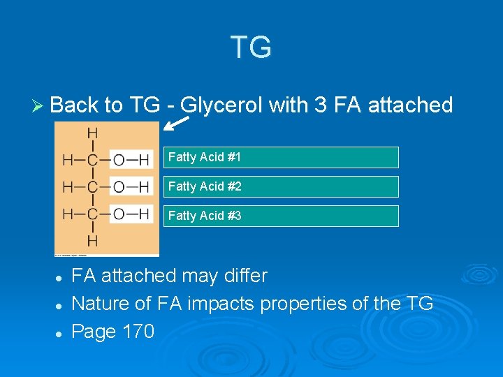 TG Ø Back to TG - Glycerol with 3 FA attached Fatty Acid #1