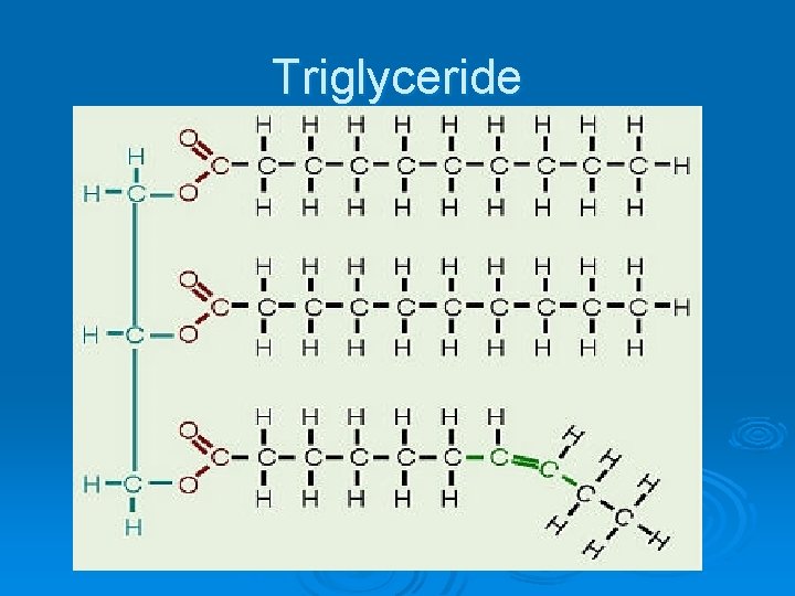 Triglyceride 